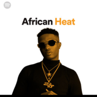 Why Spotify can't or won't succeed in Nigeria